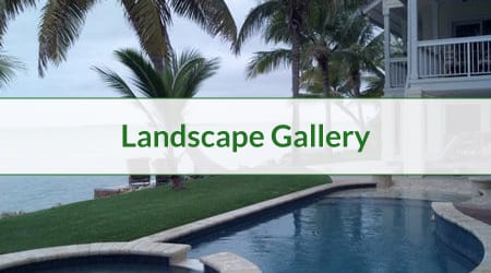 gallery cover landscape