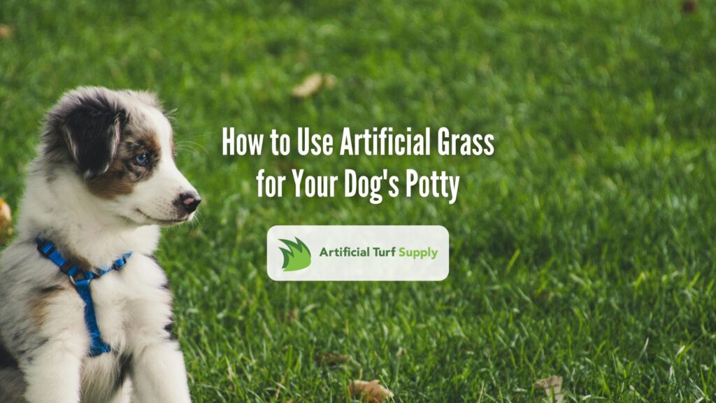 artificial grass for dog potty