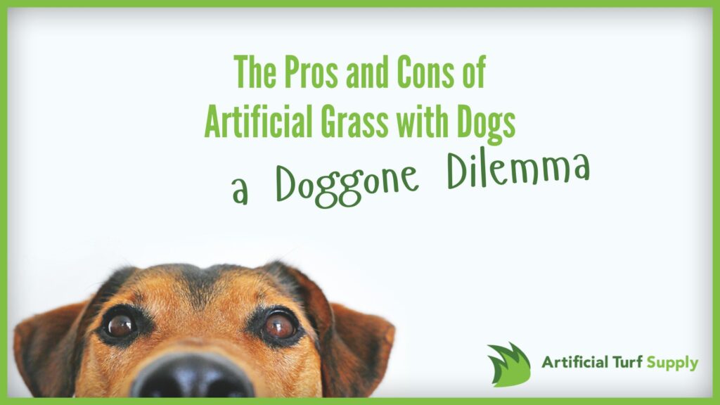 pros and cons of artificial grass with dogs